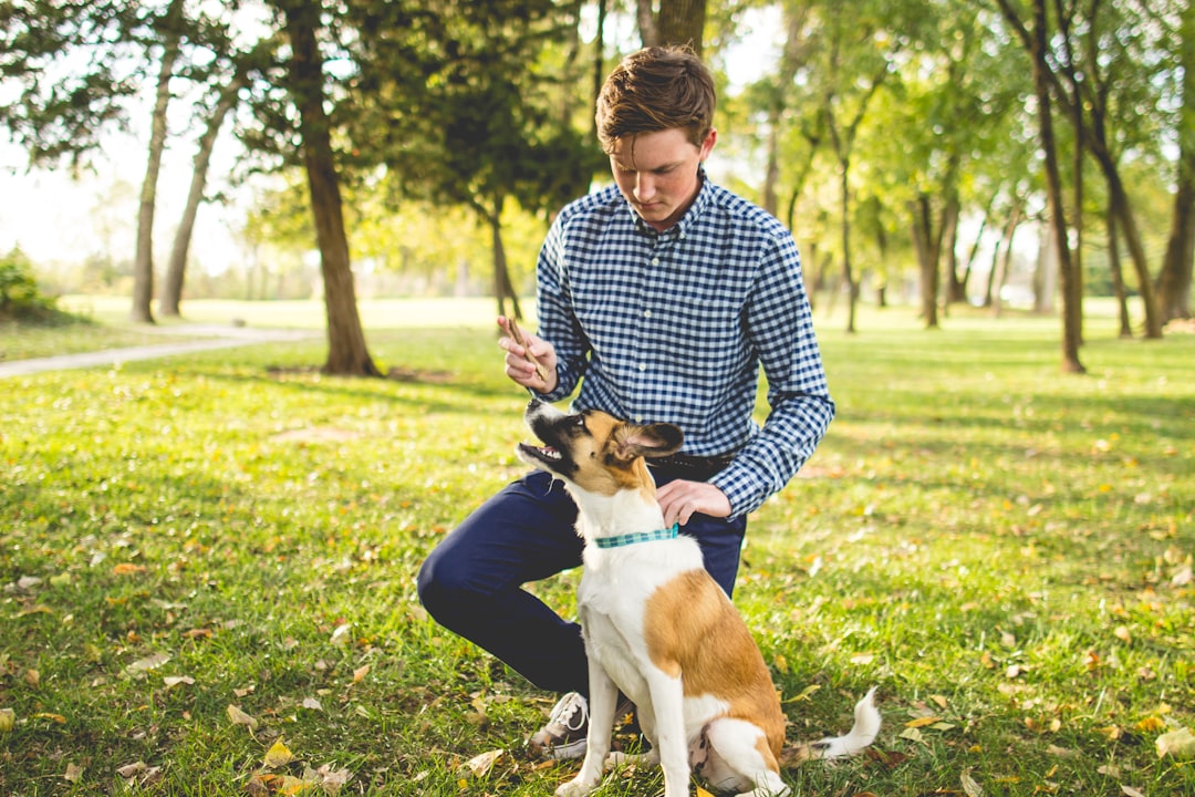 Mastering Pet Training: The Ultimate Guide