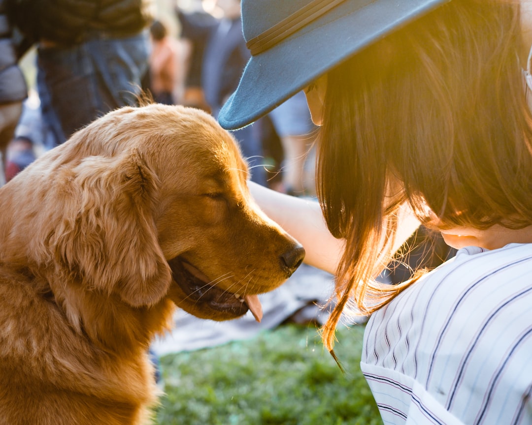 Mastering Obedience Training for a Well-Behaved Dog